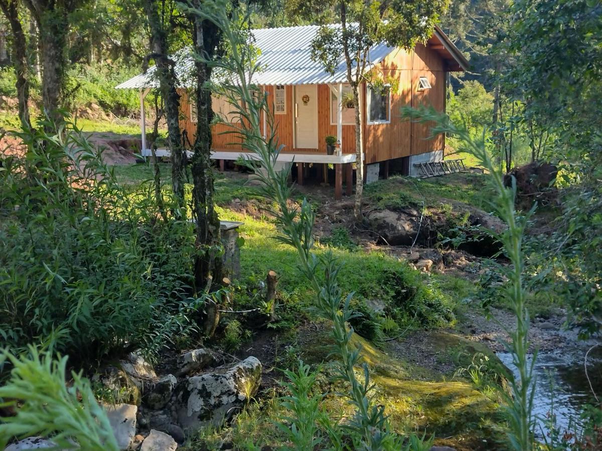 Casas De Temporada Serra Dos Bitus Urubici Ngoại thất bức ảnh